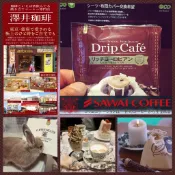 日本 高品質 Sawai  澤井 咖啡  掛耳咖啡 藍山 一號 曼特寧 濾掛咖啡 滴濾 濾掛 耳掛 公豆 圓豆 現貨