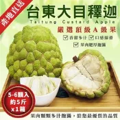 【金好迦】嚴選台東大目釋迦x1箱 (A級果5~6顆/5斤) 台東綠寶石 產地直送