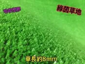 人工草皮 台塑草皮大俗賣! 防焰防燃証明 草地毯 人造草 高爾夫草 人造草皮 塑膠草 台塑南亞正公司貨 工廠直營批發價