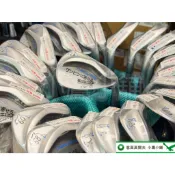 [小鷹小舖] Kasco Dolphin Wedge DW-123 日本海豚 高爾夫 挖起桿 銀/銅色 男/女 鐵/碳
