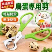 【三峽好吉市】鳥蛋專用剪刀 開鳥蛋刀 鳥蛋剪殼器 鳥蛋開殼剪刀