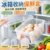 收納盒冰箱收納保鮮盒食品級冰箱收納盒保鮮盒廚房蔬菜水果整理盒冷凍雞蛋收納盒大容量