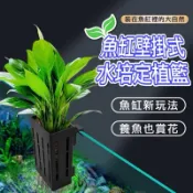 【魚見🐠美好】水草定植杯🌱 魚缸魚菜共生 生態水培籃 水培 水耕植物 固根器 無土栽培水族箱花盆固定器 定植杯 定植籃