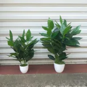 協貿國際日用品生活2館 仿真植物平安樹假盆栽幸福樹大小盆景塑料人造花室內裝飾落地綠植