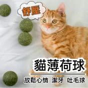 【當天出貨】貓薄荷球 貓草球 貓薄荷 木天蓼 木天蓼球 貓咪薄荷球 貓草玩具 貓零食 貓食