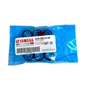 (店+)【YAMAHA 山葉】YAMAHA 山葉原廠 勁戰六代 BWS125七期水冷 11克普利珠 滾珠 滾珠組 B8R-WE763-00