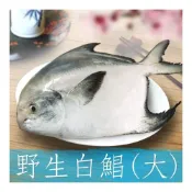 (店+)紅毛港海鮮市集 印度急速冷凍 野生大白鯧  400/500規格 好吃又實惠
