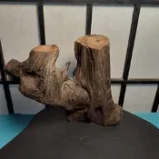天然奇木 黑格 台灣肖楠木 ~~ 風化木 漂流木 文創藝術 造型佳 招財聚寶 風水擺件 ~~ 04
