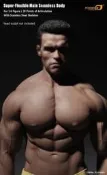 【sammi toys】現貨 PHICEN M34 健美身材 鋼骨包膠 肌肉男素體 - 無頭(阿諾 魔鬼終結者)