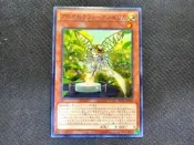 (新世界) INOV-JP031 芳香熾天使-歐白芷 普卡 98-90分