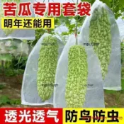 瓜果網袋 無紡布防蟲防鳥套袋 絲瓜套袋 苦瓜套袋 絲瓜防蟲套袋 栗子南瓜水蜜桃套袋 防蟲網袋 小黃瓜
