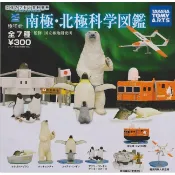 【日玩獵人】T-ARTS(轉蛋)立體百科事典-南北極科學圖鑑 全7種 整套販售