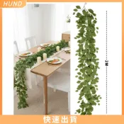 [HUND]人造桉樹藤蔓春綠掛植物假常春藤家居裝飾