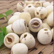 檢驗合格去芯蓮子/纺蓮子/湘蓮子300g/600g現貨-蝦皮代開發票-華崴嚴選