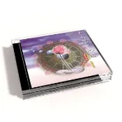 【新韻傳音】十小咒、心經(國語課誦 1CD)