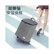 (店+)工廠直銷 可伸縮鋁合金便攜折疊保鮮購物買菜車拖車輕便拉桿保溫袋小推車