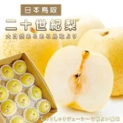 【天天果園】日本室外鳥取二十世紀梨6入禮盒/約2.2kg