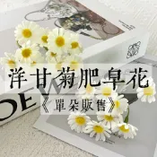 『花藝夢』全色系現貨✅️ 洋甘菊香皂花《單株販售》 百日草 百日菊 波斯菊 畢業送禮 永生花 肥皂花 乾燥花