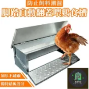 築夢居 免運 公司貨 可開發票 【踏板式雞飼料槽】喂雞食槽防雨防鼠加厚自動喂食家禽鵝用不銹鋼踏板喂食器 自動餵食器 自動餵食機 餵食器 小鳥餵食器QCH工廠直銷 全館折扣 售後保障 店長新品推薦 年底鉅惠 6z916112