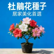 【現貨免運】🌺18款多色珍珠杜鵑進口種子 陽台庭院盆栽花卉 春天播種鮮花植物 易種植開花香草種子 居家園藝栽培樂趣