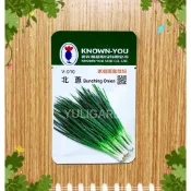 北蔥種子Bunching Onion 農友種苗 家庭園藝栽培 約200粒 多年生草本 ◆Garden◆