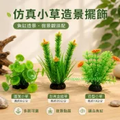 水草 金錢草 銅錢草 塑膠草 仿真水草 人造草 荷葉小草 假草 刺身裝飾 假樹 水族造景擺件 魚缸飾品 冷盤裝飾 花草