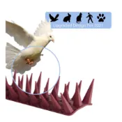 5倍加長版 防鳥 驅鳥神器 防盜 防侵入 防鼠【高雄楠梓現貨】43公分+送束帶』不傷鳥防鳥刺 防貓狗防鼠釘 防鳥屎 趕鳥