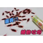 🌈易購虎💫小強拉炮 蟑螂拉炮 蟑螂 慶生 畢業 安全整人小強拉砲 拉砲 拉炮