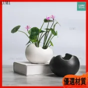 陶瓷花盆 水培植物容器 蛋壳造型 磨砂 粗陶盆 水耕盆栽 桌面擺件 辦公室盆栽 簡約 ins風 花瓶 裝飾品盆器園藝用品