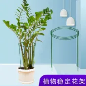 五金嚴選【提供】天堂鳥固定支架發財樹錢串子花支架子盆栽支撐架攏花架花卉金錢樹