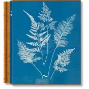 【正版】安娜·阿特金斯 藍曬法 海藻蕨類植物畫集 塔森出版社Taschen 英文原版 Anna Atkins. Cyan
