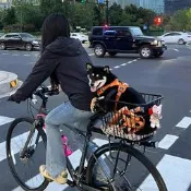 【甄選】適用捷安特腳踏車後座架登山車快拆後貨架可載人尾架原裝配件大全