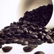 Gustare caffe 精選薇薇特南果咖啡豆(1磅)