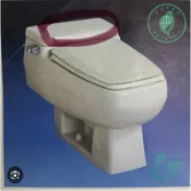 HCG  和成牌  阿爾卑斯系列  C300  水箱蓋  水箱蓋 和成馬桶 水箱蓋 舊品/CF801 粉牙色