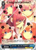 [NA諾亞方舟] 5HY/W83-P09S PR 重なる想い 一花&二乃&三玖&四葉&五月