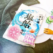 現貨 期限 2027.4月 日本 榮太樓 和歌山梅子鹽味糖 70g-PP