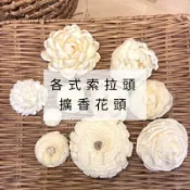 現貨🌹各式種類擴香花 擴香花 乾燥花 索拉花 各式索拉花 睡蓮 牡丹花 薔薇花 乾燥花材 乾燥花材料 材料 花 乾燥花