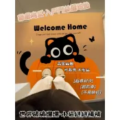 🌸桃裏🌸黑貓中古入戶門地墊 進門家用墊 絲圈門口地墊 蹭腳耐臟地墊 玄關換鞋墊 PVC絲圈地墊 刮泥地墊 大門地墊