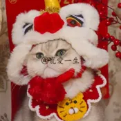 【現貨】可愛醒獅寵物帽子 寵物拜年服 喜慶貓咪舞獅頭套 寵物過年衣服 狗狗喜慶拜年裝 舞龍舞獅貓咪套裝搞笑可愛寵物變身裝