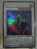 [風音卡鋪]TSHD-JP043　華麗薔薇　金亮