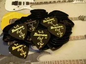 唐尼樂器 TONY MUSIC Ibanez Tree of life 生命之樹電吉他/電貝斯/ Bass Pick / 彈片【唐尼樂器】