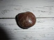 心61 血絲玉/心臟石 金瓜肉血絲  小海洗石 原礦 美石 東海岸玉石 花東玉石  玉石為濕拍
