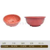 1尺2浮花淺盆/1尺2/淺盆/塑膠盆/無孔/圓盆/種植/栽培蓮花/台中/荃盈園藝資材行/台灣現貨