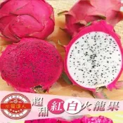 水果達人產地直送！紅肉火龍果10斤x1箱(12-18顆/箱)寄出日為（下訂日1-3個工作天）