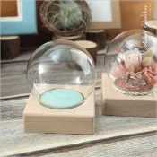 音樂青蛙, 10cm水晶球玻璃罩+方型櫸木底座 DIY手作水球組合 玻璃有刮痕氣泡白點