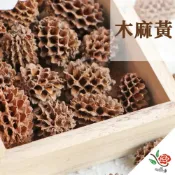 (店+)木麻黃 松果 極度花燥 花材 果實 永生花 乾燥花 不凋花 乾燥果實 果實包 畢業季 畢業 七夕 情人節