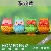 (店+)大眼貓頭鷹 4款 微景觀 園藝裝飾 療育公仔 DIY造景【HOMEDEN霍登園藝】