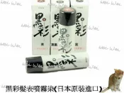 日本原裝 黑彩髮表噴霧染 黑彩暫時性染髮劑 k.if