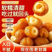 【小食糖】桂圓蓮子果乾獨立零食桂圓抱抱開袋即食包裝