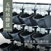 (台灣製造免運) 吊盆 花牆掛盆 單掛盆 壁掛盆 花盆 塑膠花盆 植生牆 ５吋植栽種植盒